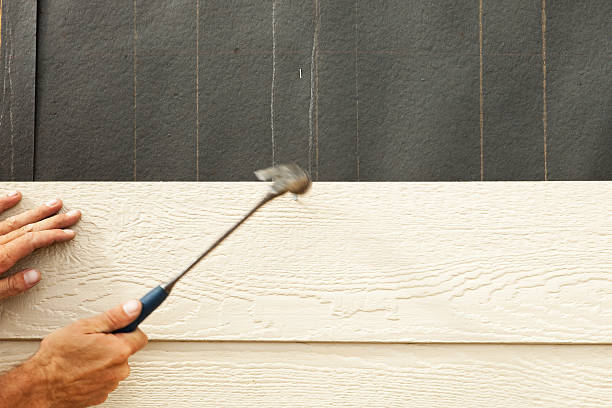 Professional Siding in Orwigsburg, PA